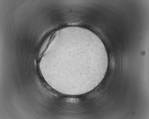 X0000114560543200911301251