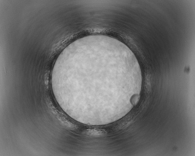 X0000114560545200911301251