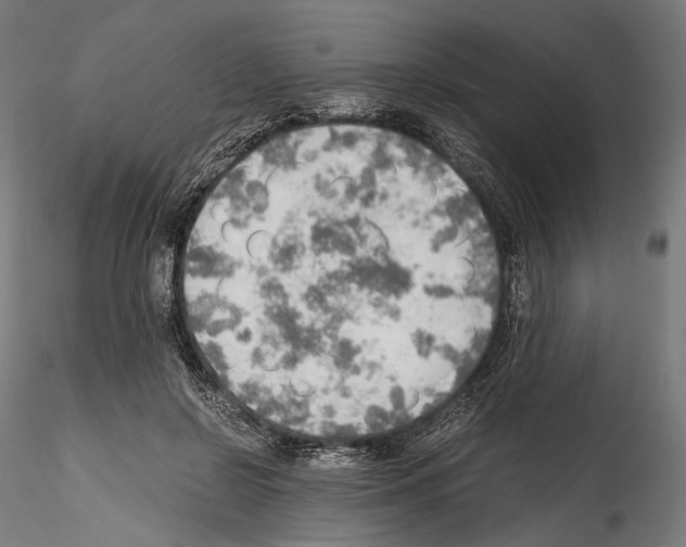 X0000114560550200911301251