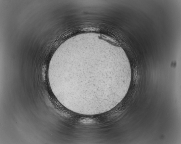 X0000114560551200911301251