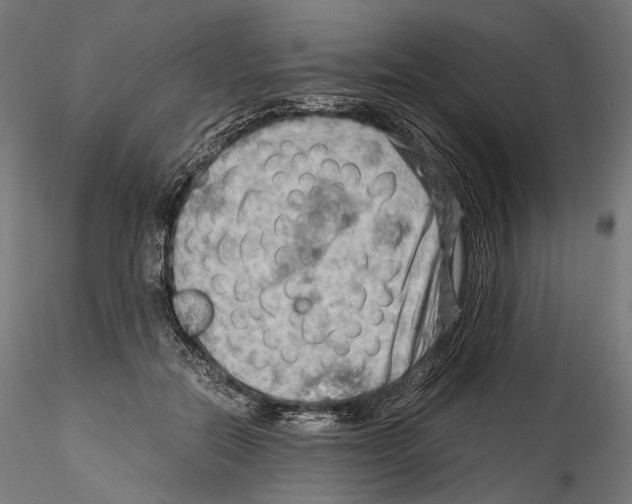 X0000114560554200911301251