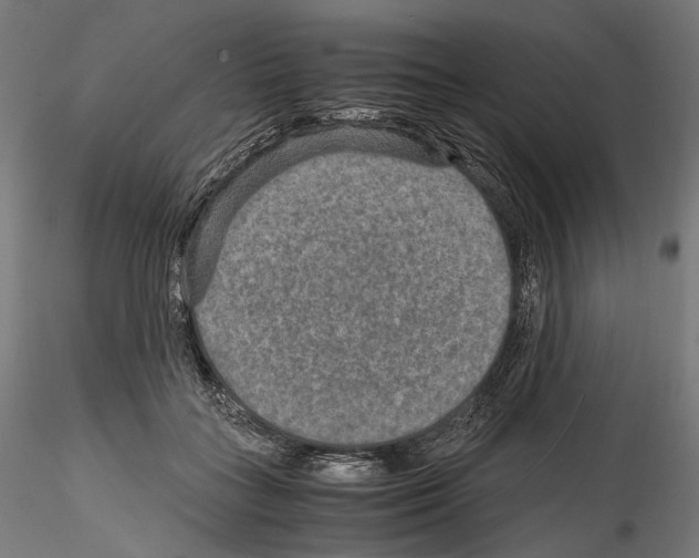 X0000114560555200911301251