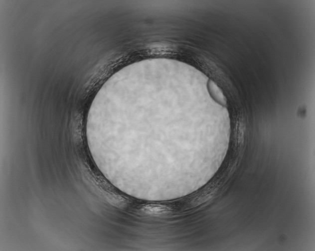 X0000114560557200911301251