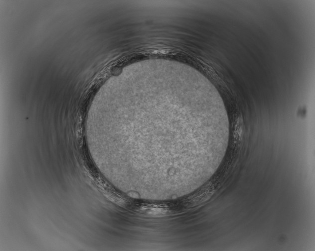 X0000114560559200911301251