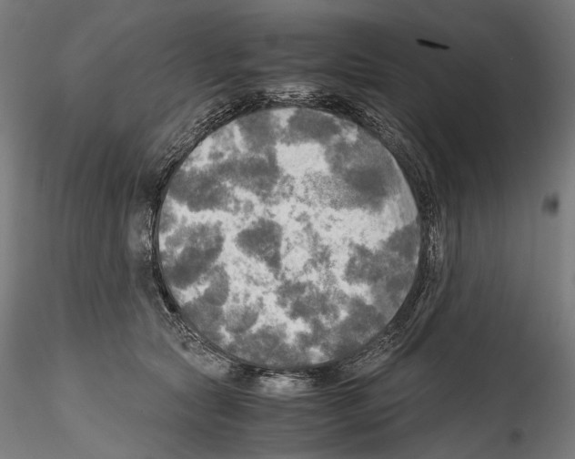 X0000114560561200911301251