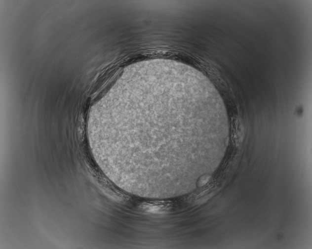 X0000114560563200911301251