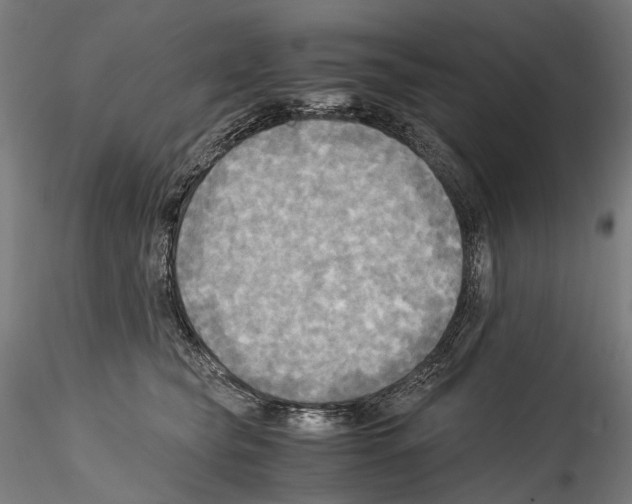 X0000114560565200911301251