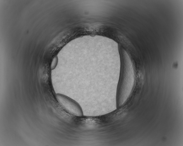 X0000114560566200911301251
