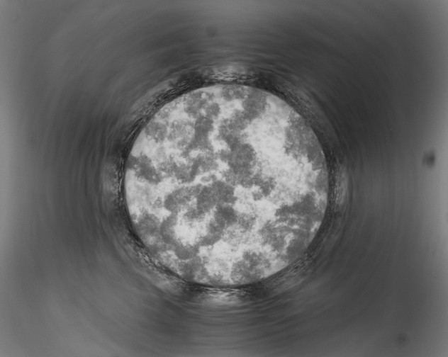 X0000114560569200911301251