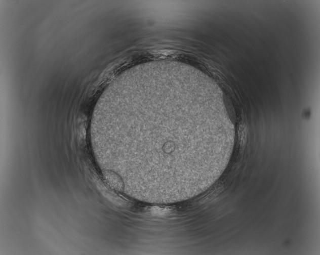 X0000114560570200911301251