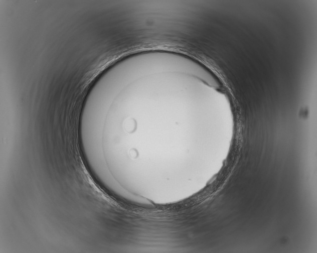 X0000114560577200911301251