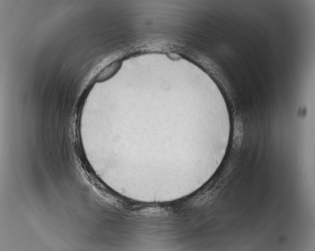 X0000114560578200911301251