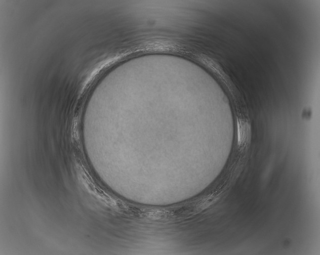 X0000114560579200911301250