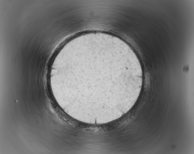 X0000114560580200911301250