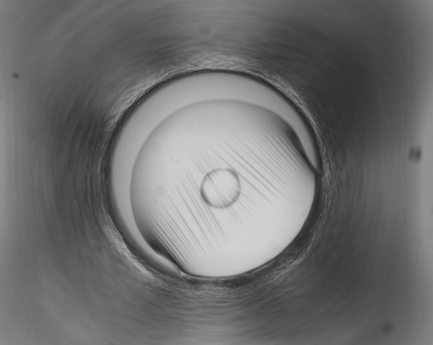 X0000114560581200911301250