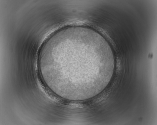 X0000114560582200911301250
