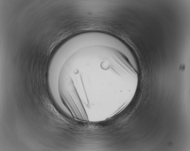 X0000114560585200911301250