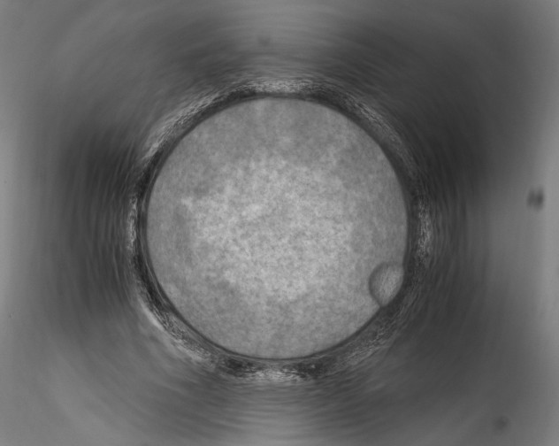 X0000114560586200911301250