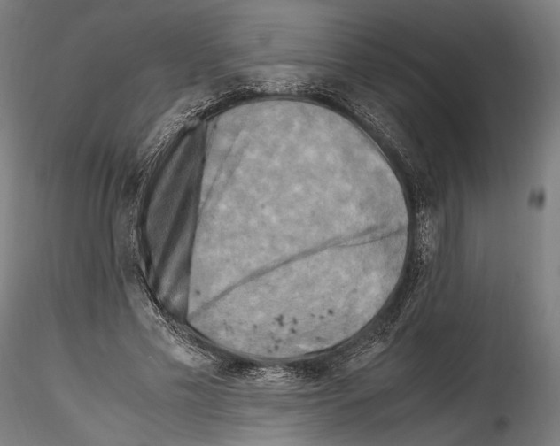 X0000114560589200911301250