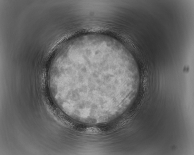 X0000114560591200911301250