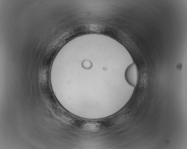 X0000114560595200911301250