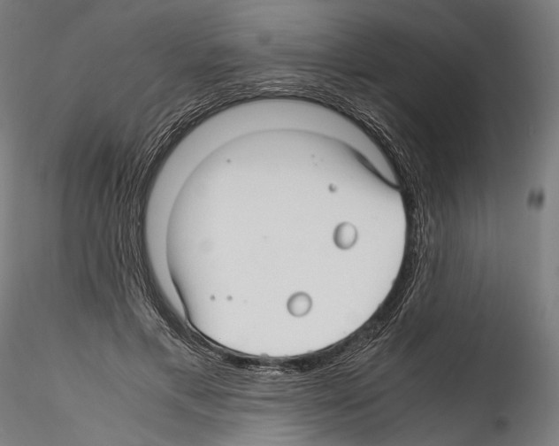 X0000114560597200911301250