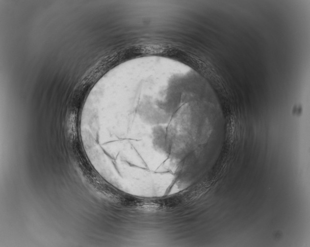 X0000114560598200911301250