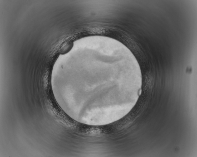 X0000114560600200911301250