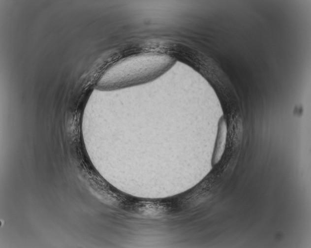 X0000114560601200911301250