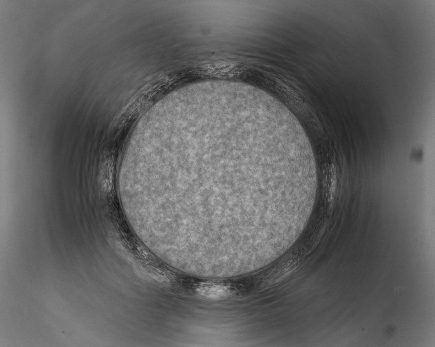 X0000114560602200911301250