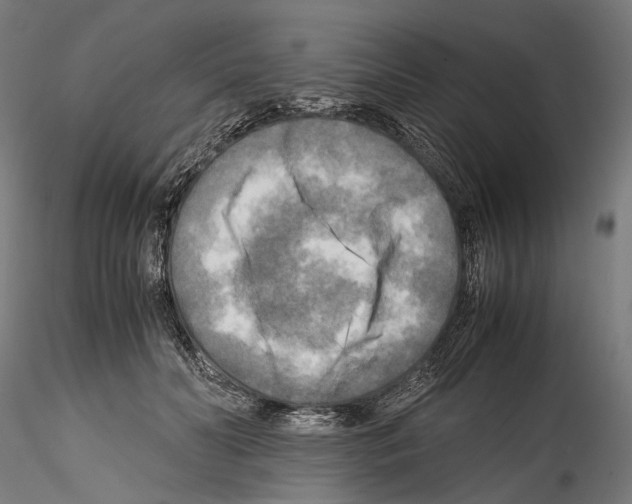 X0000114560606200911301250