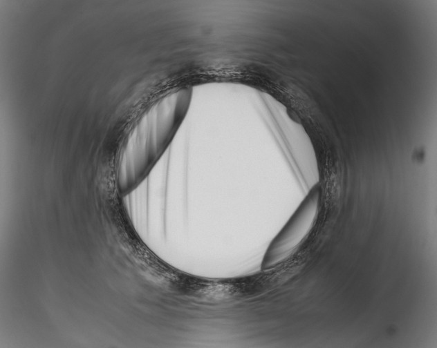 X0000114560609200911301250