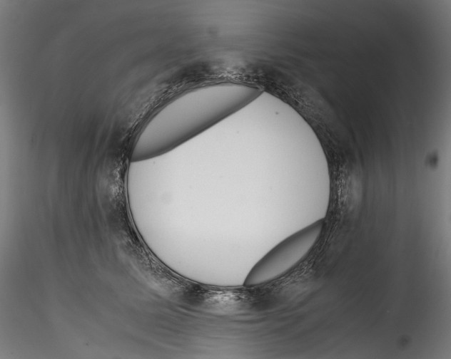 X0000114560611200911301250
