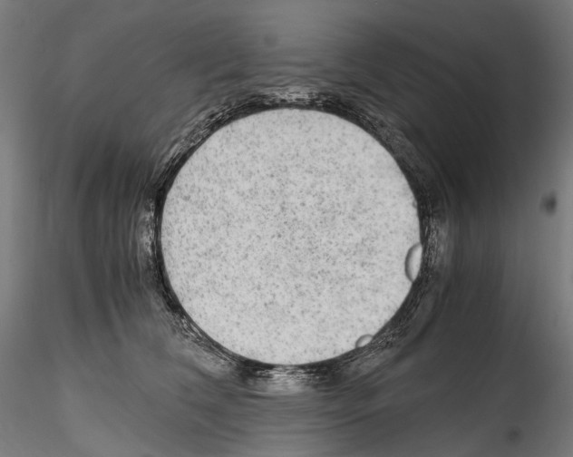 X0000114560612200911301250