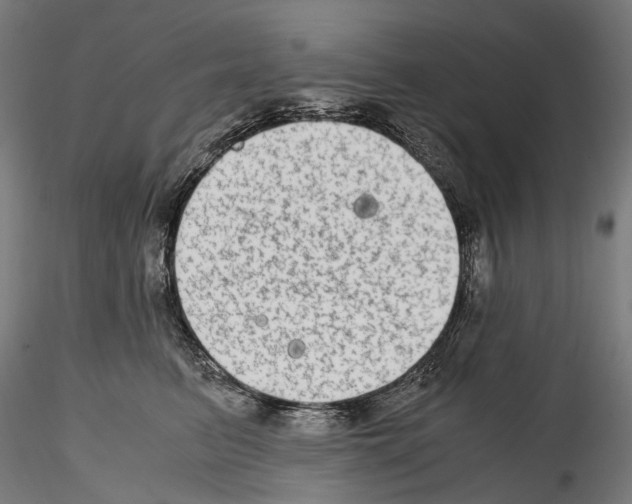 X0000114560615200911301250