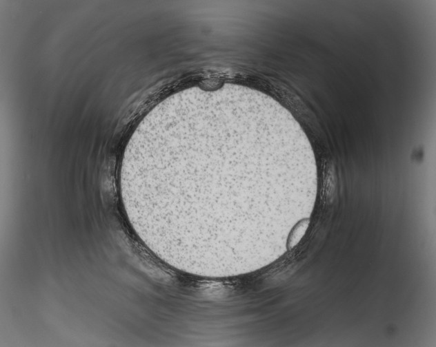 X0000114560616200911301250