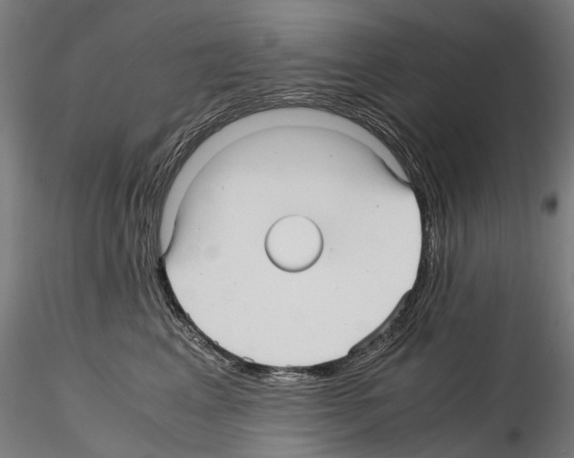 X0000114560617200911301250