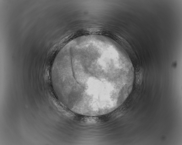 X0000114560618200911301250