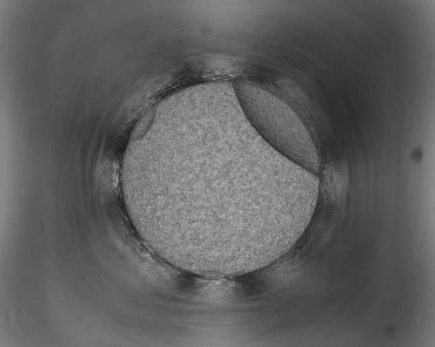 X0000114560621200911301250
