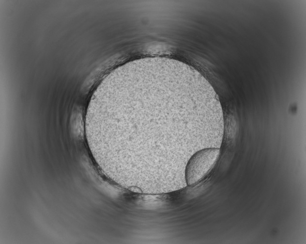 X0000114560622200911301250
