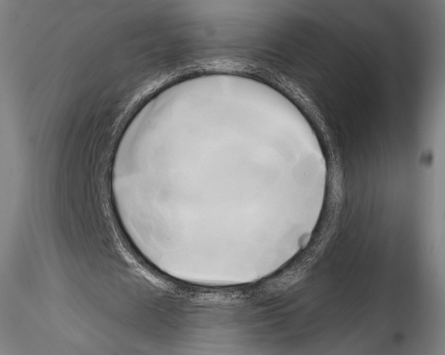 X0000114560625200911301249