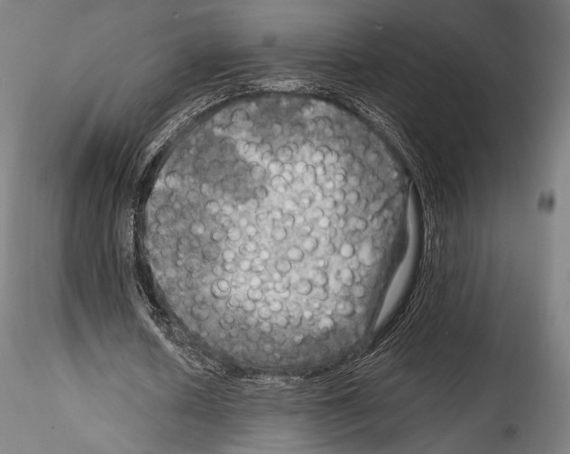 X0000114560626200911301249