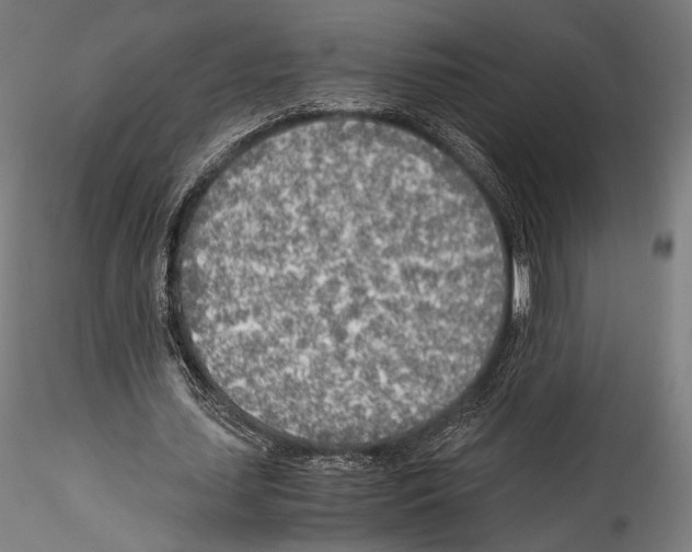 X0000114560627200911301249