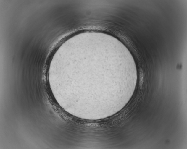X0000114560628200911301249