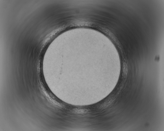 X0000114560629200911301249