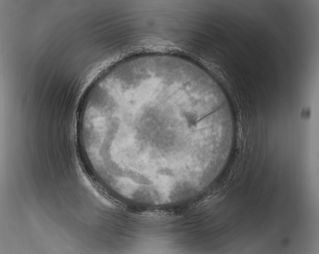 X0000114560630200911301249