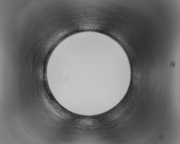 X0000114560631200911301249
