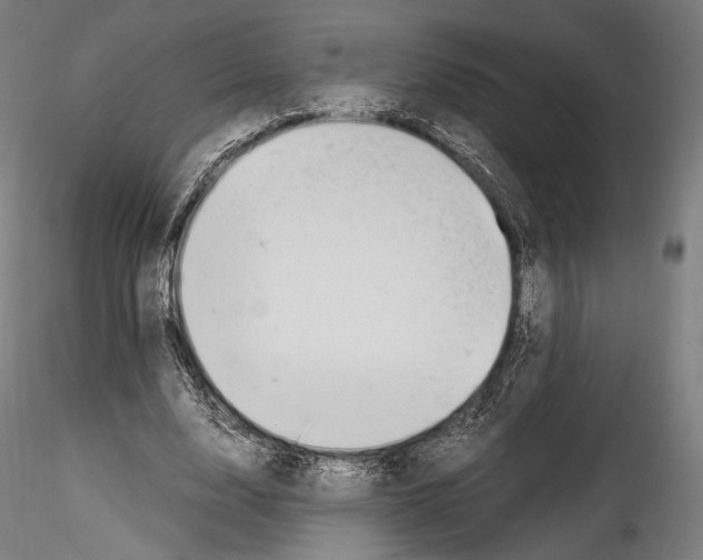 X0000114560632200911301249