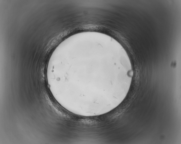 X0000114560633200911301249