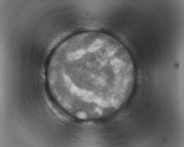 X0000114560634200911301249